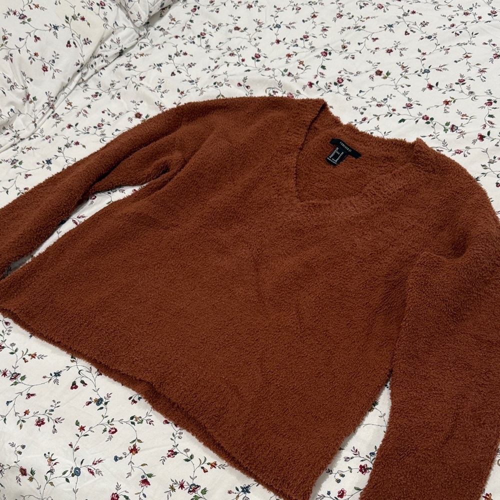 F21 Brown V-Neck Sweater